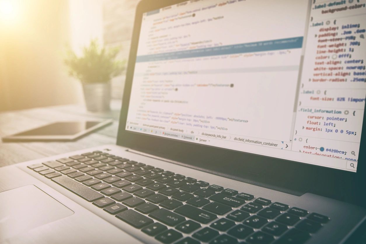 Garbage Collection in C#