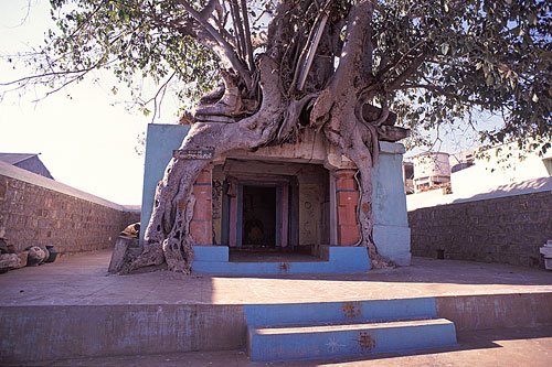 Who Protects & Preserves the Indian Culture & Tradition Better? Indian Man or Indian Woman?