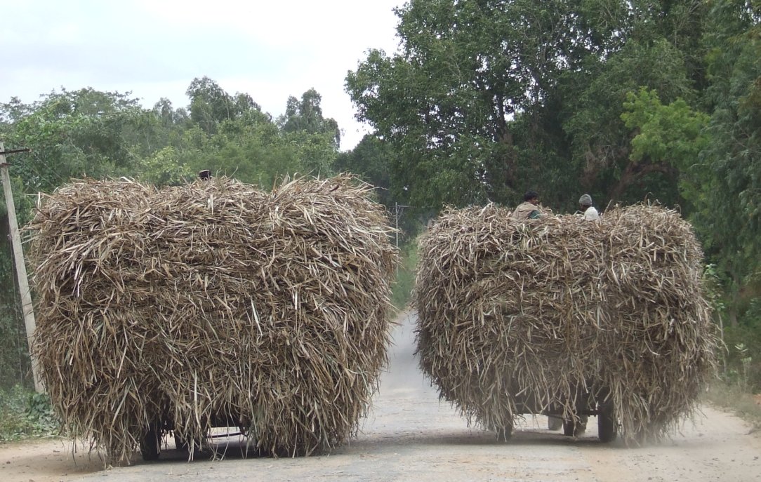 When Scientist lectured on History