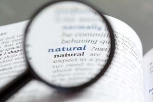 Kannada to English Dictionary