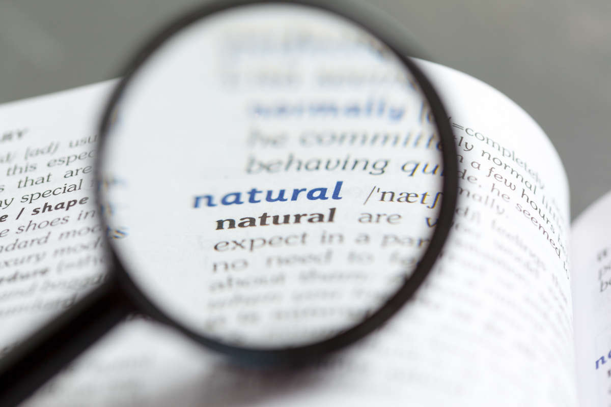 Kannada to English Dictionary